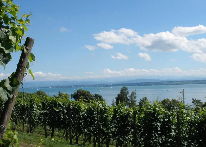 Prázdninový dům Haus Baden *